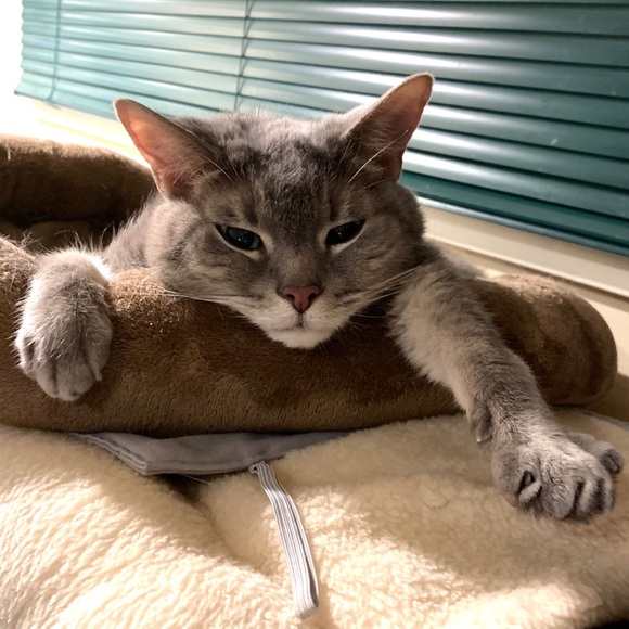 Thank you for the last five years! - Picture 5 of 16